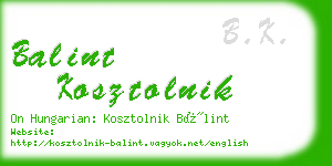 balint kosztolnik business card